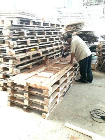 Pallet gỗ tràm